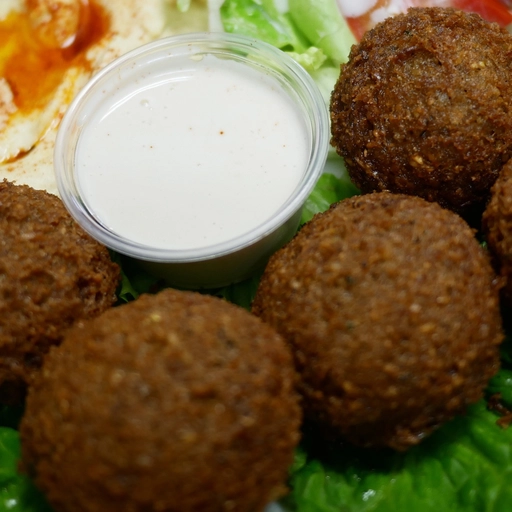 Falafel Plate